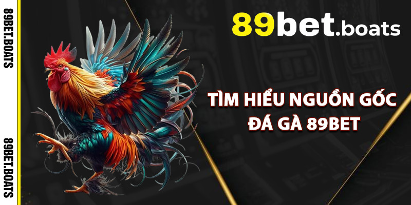 Tìm Hiểu Nguồn Gốc Đá Gà 89Bet