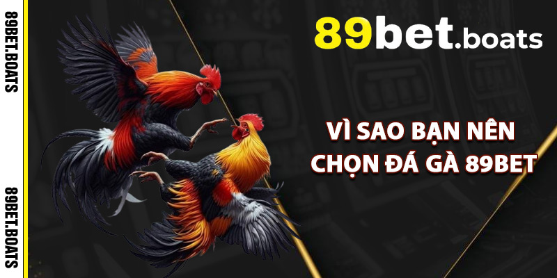 Vì Sao Bạn Nên Chọn Đá Gà 89Bet